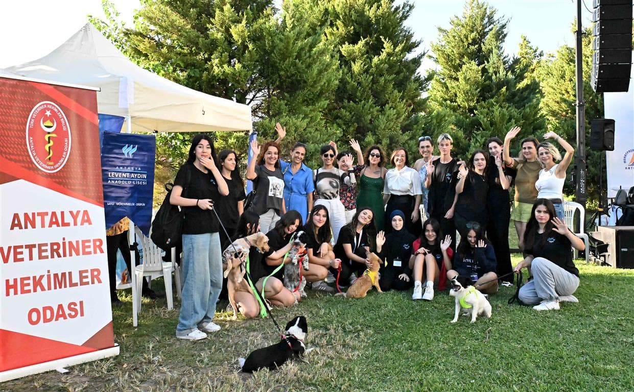 Muratpaşa’da sokak hayvanları yeni yuvalarına kavuştu