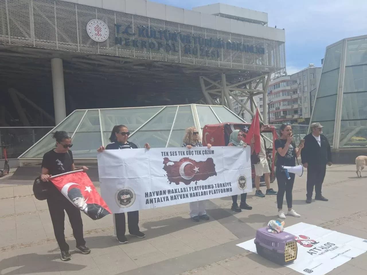 Antalya Hayvan Hakları Platformu: "Nekropol Müzesi'ndeki ağlar derhal kaldırılmalıdır"