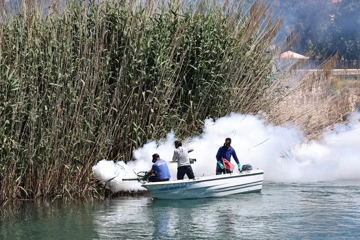 Antalya'da vektörle ilaçlama çalışmaları sürüyor
