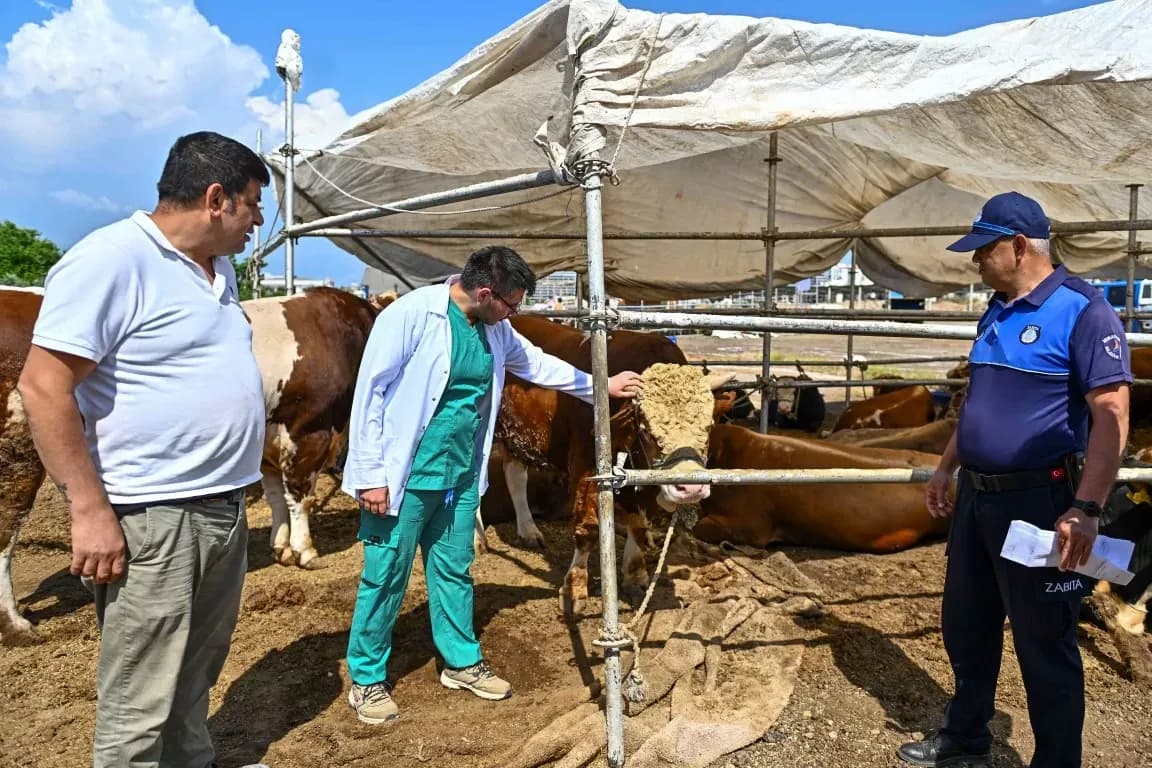 Muratpaşa'da kurban satış ve kesim alanları belirlendi