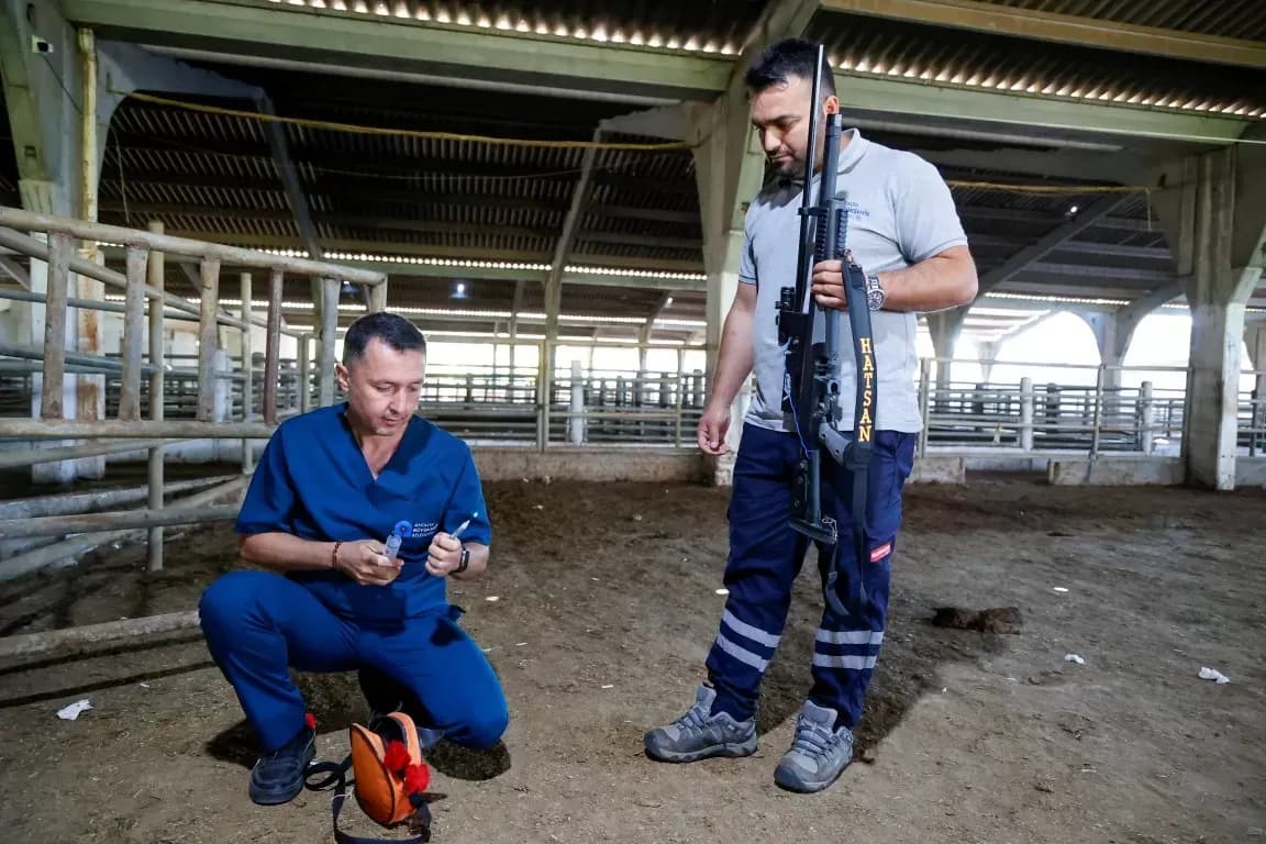 Antalya Büyükşehir Belediyesi kurban yakalama ekibi oluşturuldu