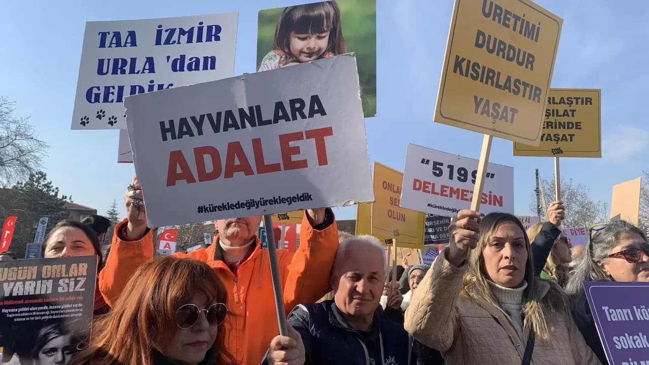 Dört Ayaklı Şehir, “Hayvan Hakları İhlallerine Karşı Savunuculuk Destek Rehberi” yayımladı