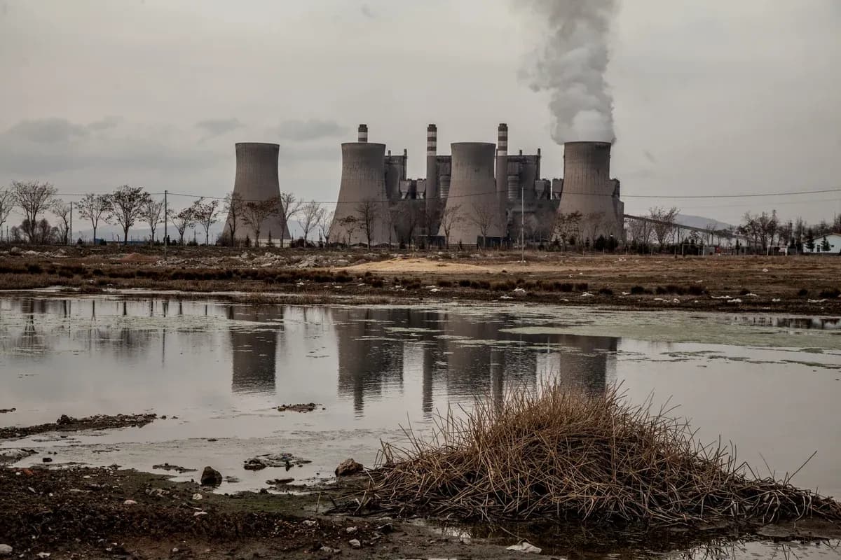 greenpeace 