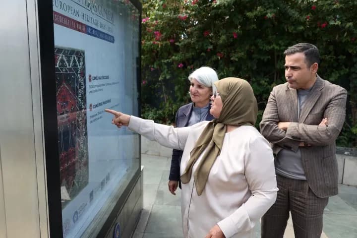 döşemealtı halı 