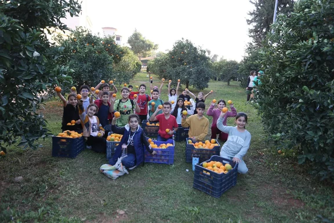 Kepez Belediyesi Dokumapark’taki portakalları ilçe halkıyla paylaştı