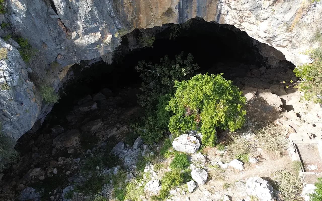 Akdeniz fokunun bulunduğu mağaraya yönelik ticari faaliyete karşı SAD-AFAG imza kampanyası başlattı