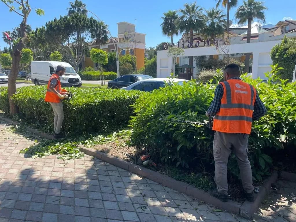 Antalya Büyükşehir Belediyesi Kemer'de peyzaj çalışması gerçekleştirdi