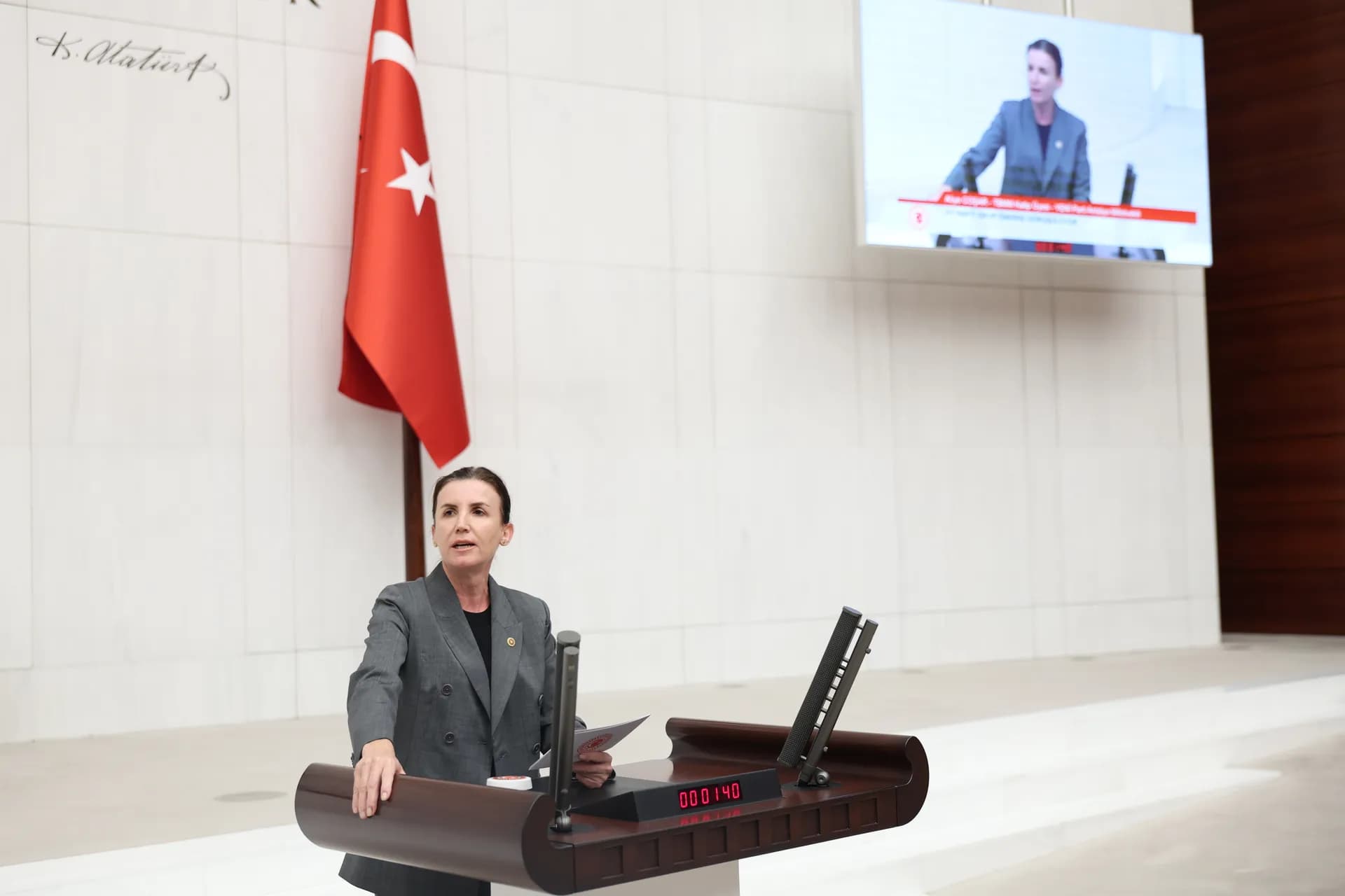 YENİ Parti Antalya Milletvekili Coşar Meclis kürsüsünde