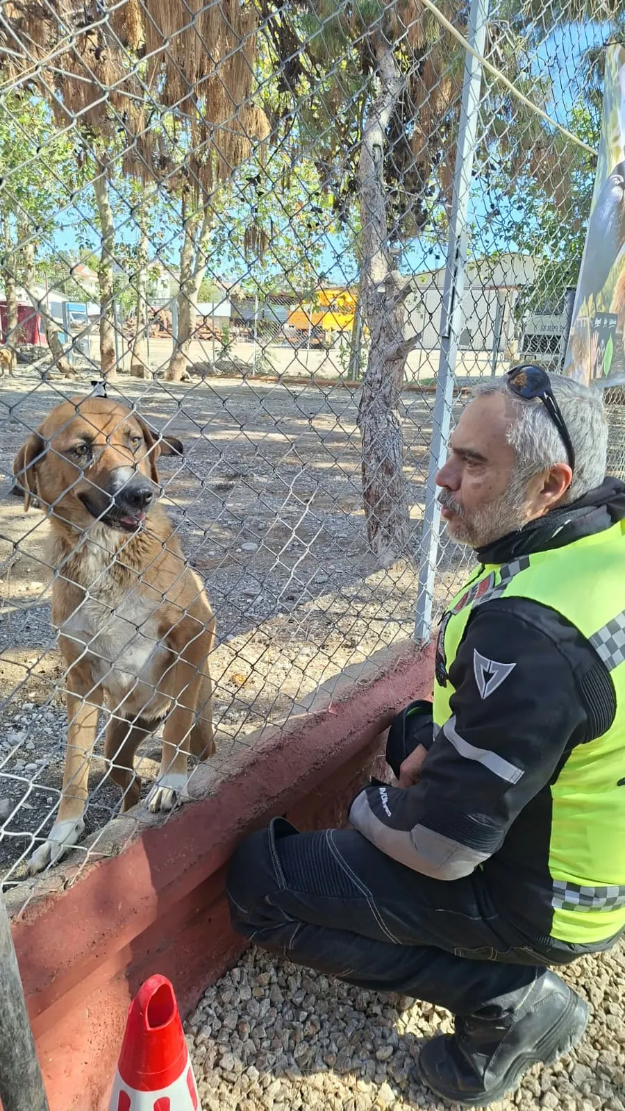 Kemer Hayvan Barınağı'ndaki hayvanları ziyaret
