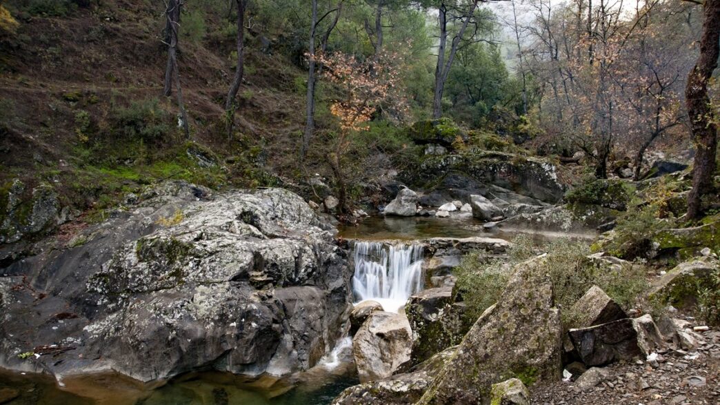 Gökdere Vadisi ihale