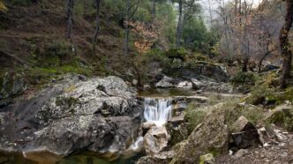 Gökdere Vadisi ihale