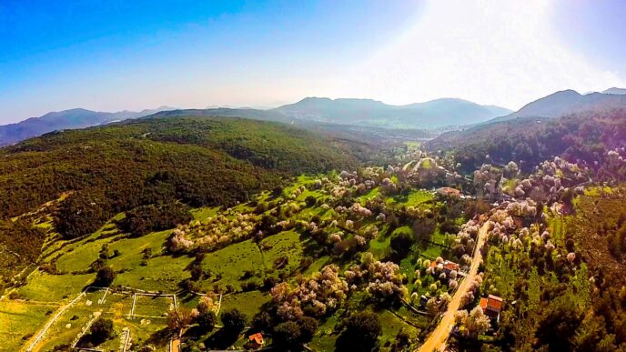 Antalya orman parkları ihaleleri