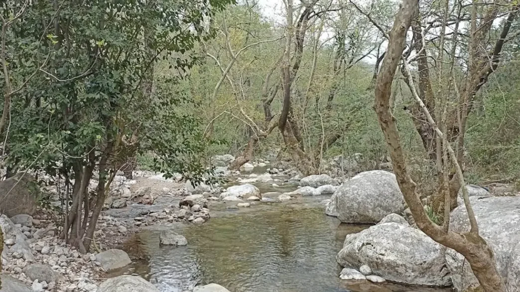 Antalya ormanlara giriş yasağı