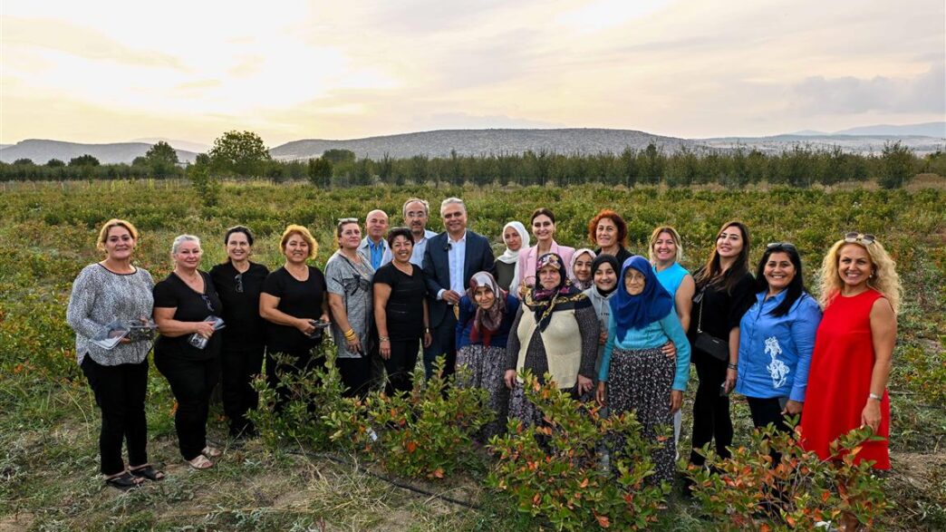 Ümit Uysal  aronya hasadı