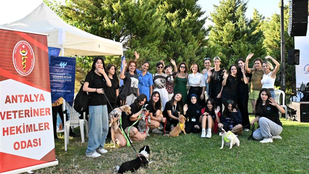 Muratpaşa sokak hayvanları