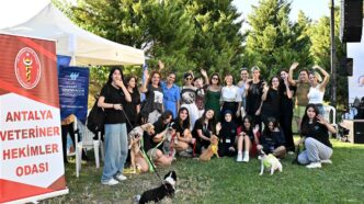 Muratpaşa sokak hayvanları