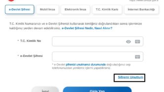 e devlet para çekme