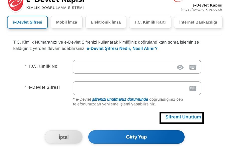 e devlet para çekme