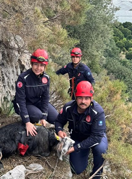Demre keçi kurtarma operasyonu