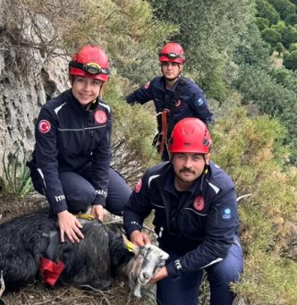 Demre keçi kurtarma operasyonu