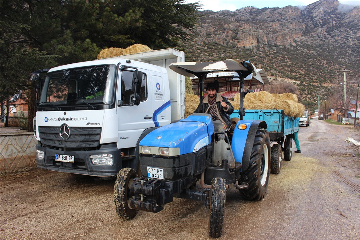 Antalya Büyükşehir Belediyesi saman desteği