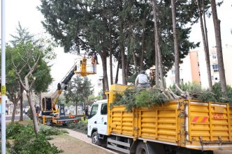 Kepez Şehit Çavuş Yusuf Yitmez Parkı