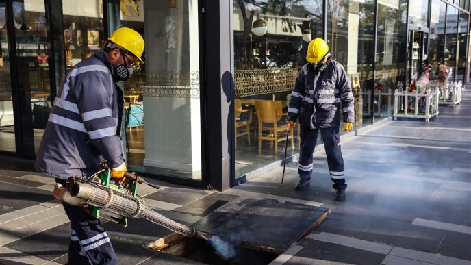 Antalya vektörle mücadele