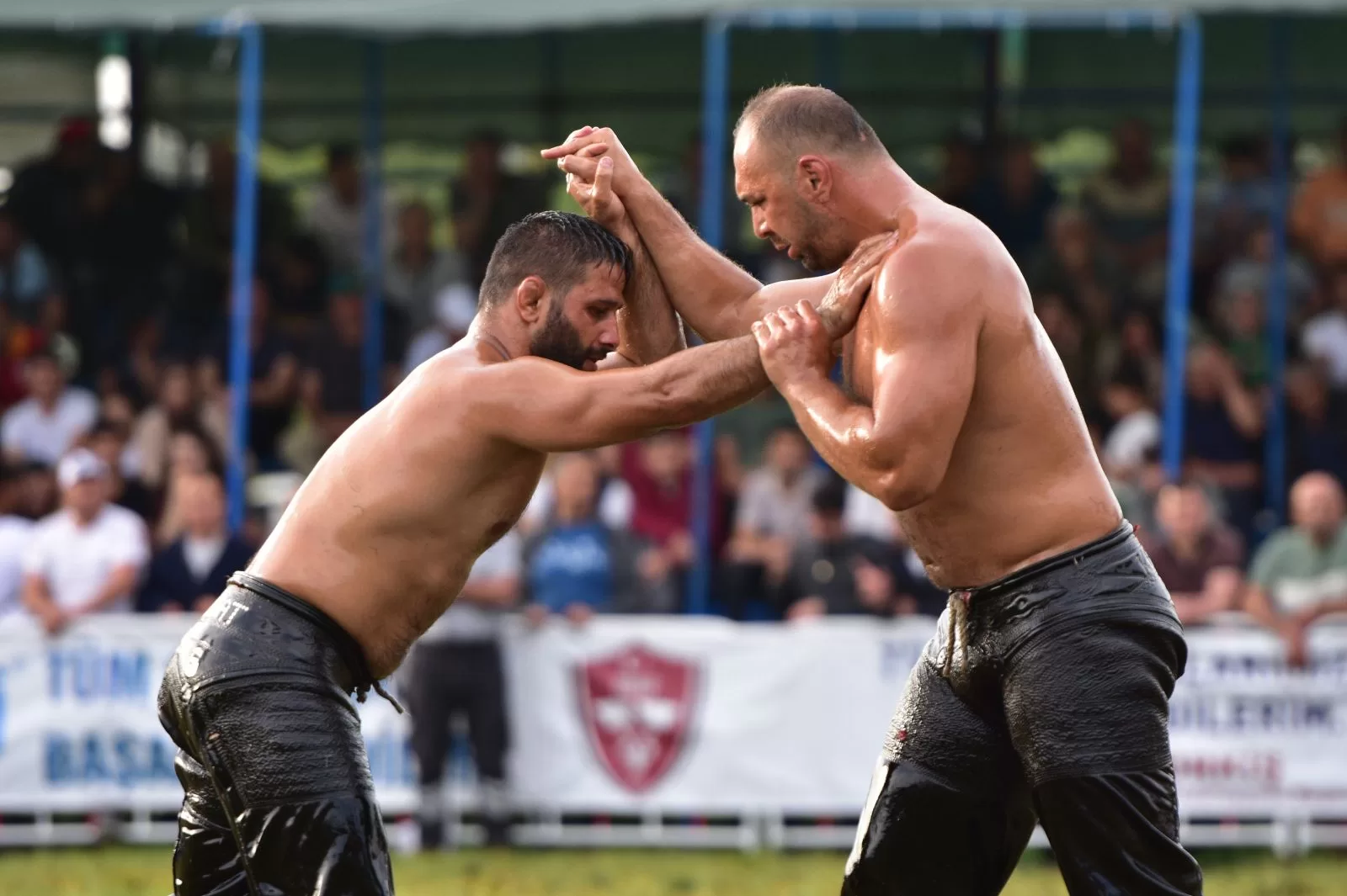 korkuteli güreşleri hangi kanalda
