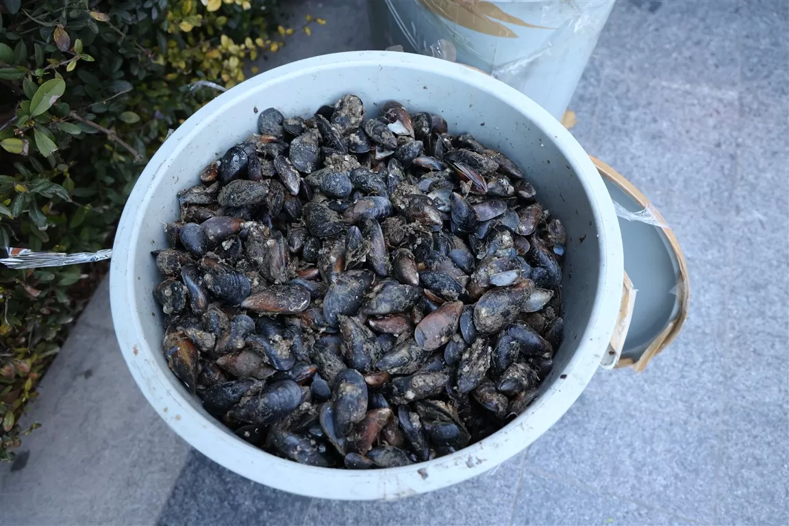 antalya otogarı midye