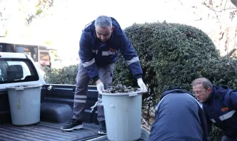 antalya otogarı midye