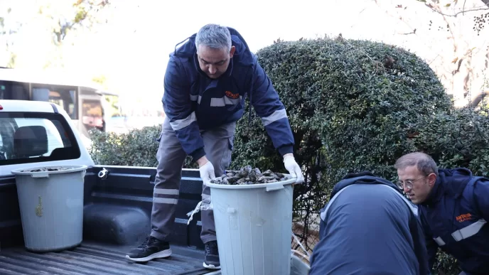 antalya otogarı midye