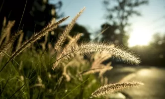 2025 cemreler ne zaman