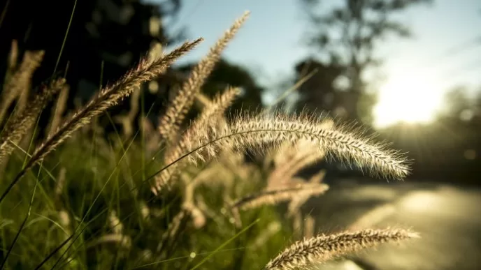 2025 cemreler ne zaman