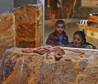 Antalya Büyükşehir Belediyesi Doğal Yaşam Parkı