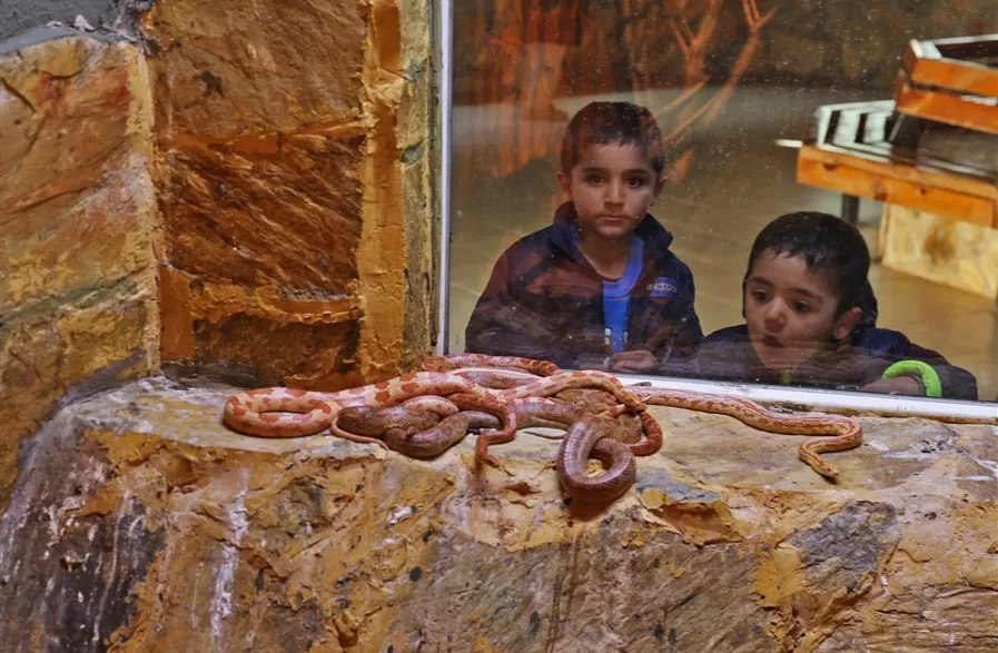 Antalya Büyükşehir Belediyesi Doğal Yaşam Parkı