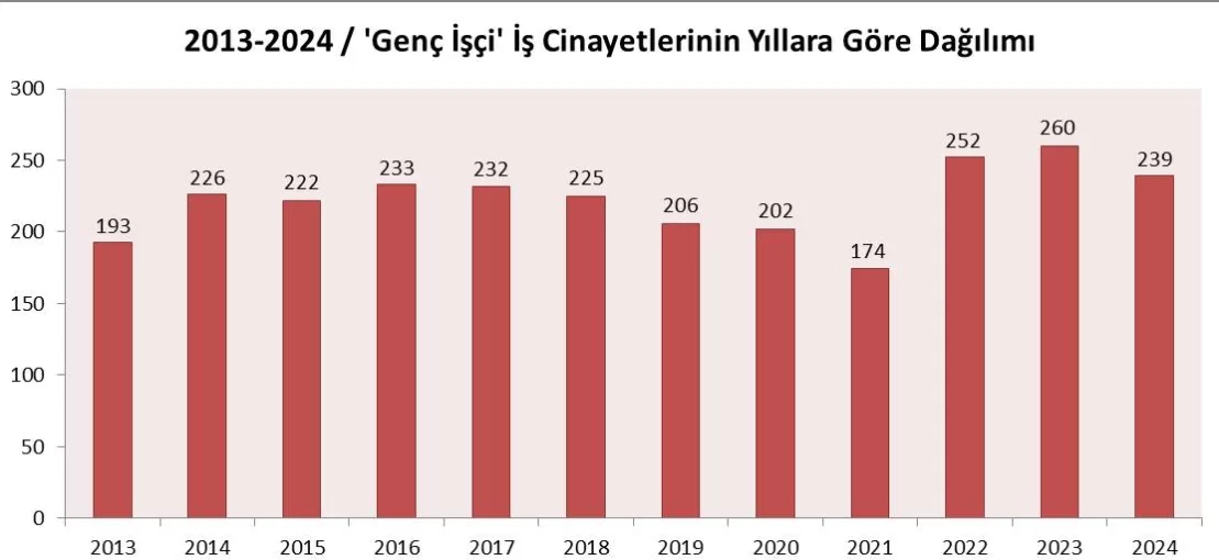 Genç İşçiler İş Cinayetleri Raporu