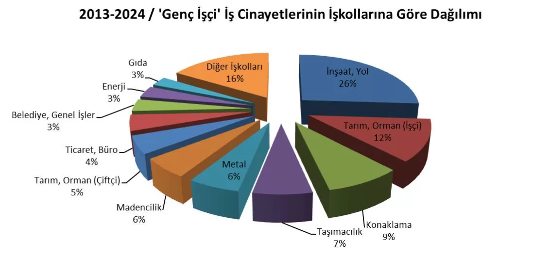 Genç İşçiler İş Cinayetleri Raporu