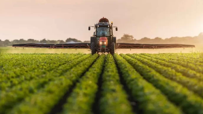 Tarımsal destek ödemesi 2025