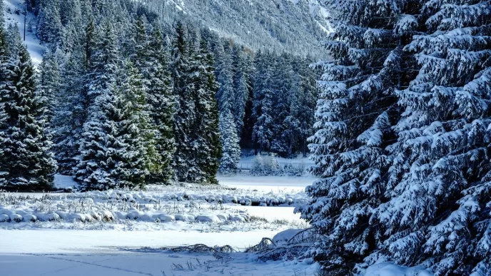Meteoroloji hava durumu