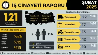 isig meclisi iş cinayeti raporu