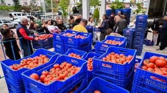 Antalya hâl fiyatları bugün