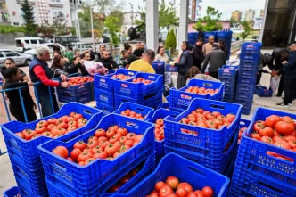 Antalya hâl fiyatları bugün