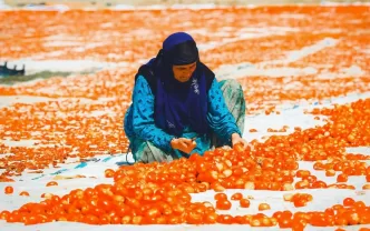 iklim krizi dirençli tarım