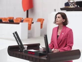 zeytinliklerin madene açan kanun