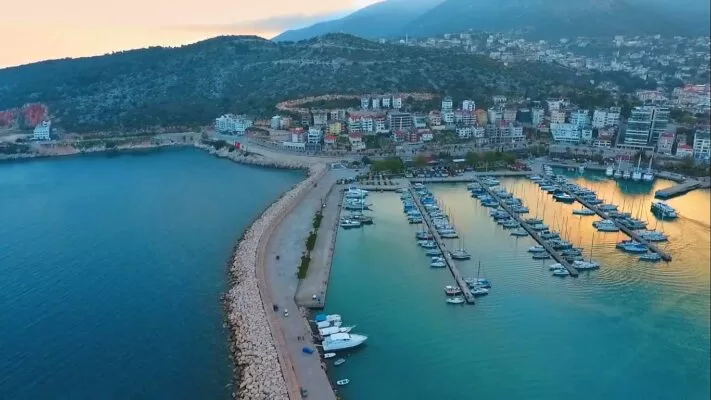 finikenin ismi nereden geliyor