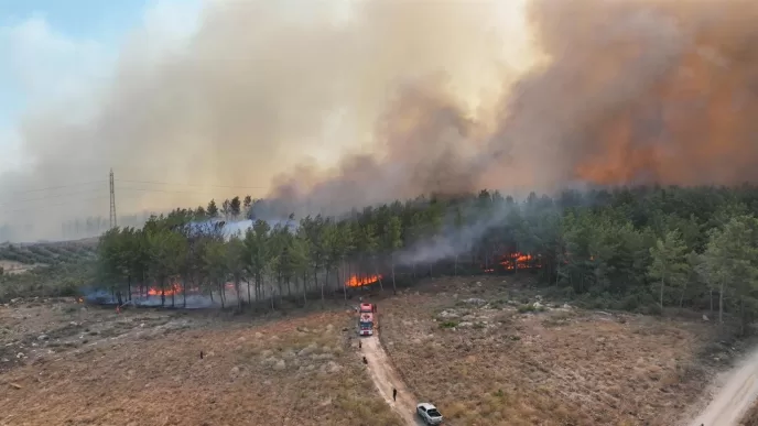 türkiyenin orman yangını