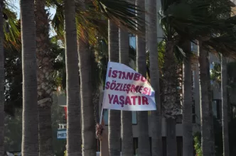 Erkek Şiddeti Çetelesi haziran