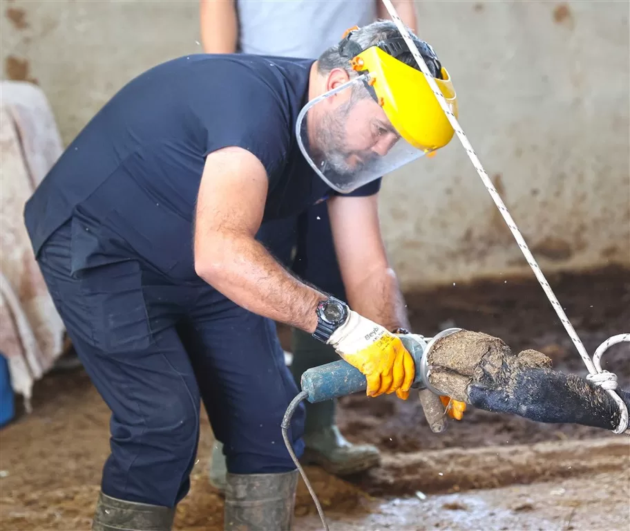antalya büyükşehir veteriner
