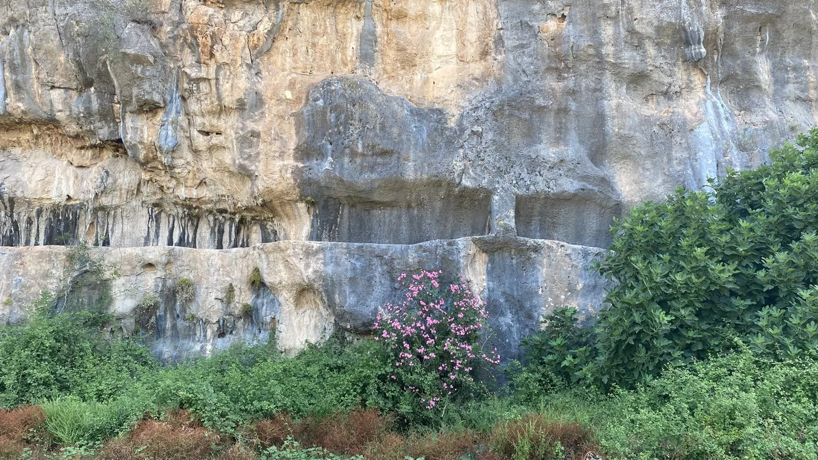 Finike-Demre-Kaş-Kalkan Bölünmüş Yol Projesi”ne karşı dava