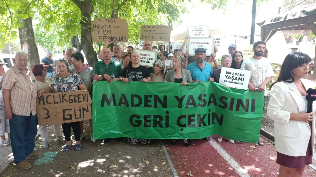 zeytinlik yasası